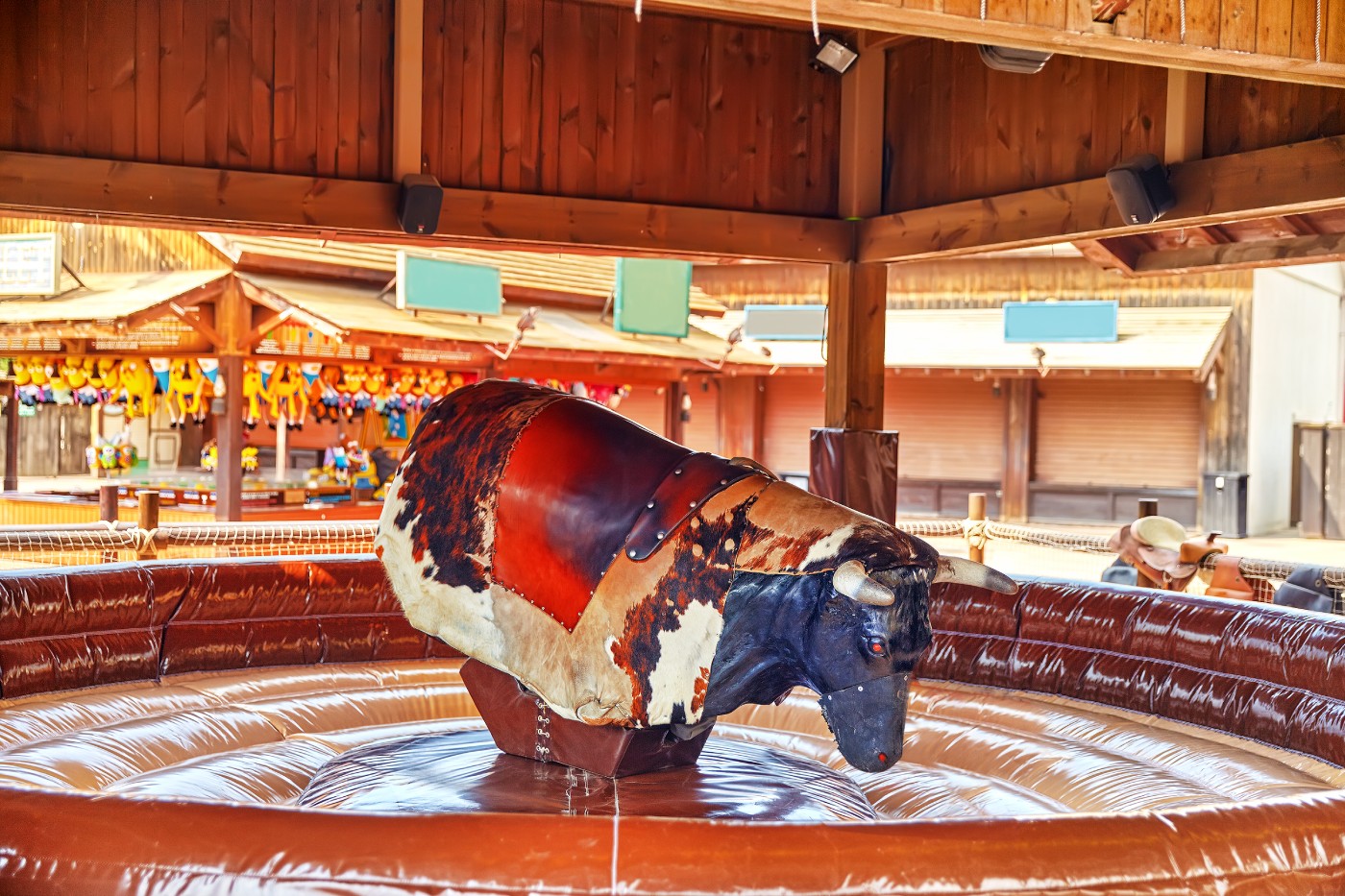 Mechanical Bull Rental